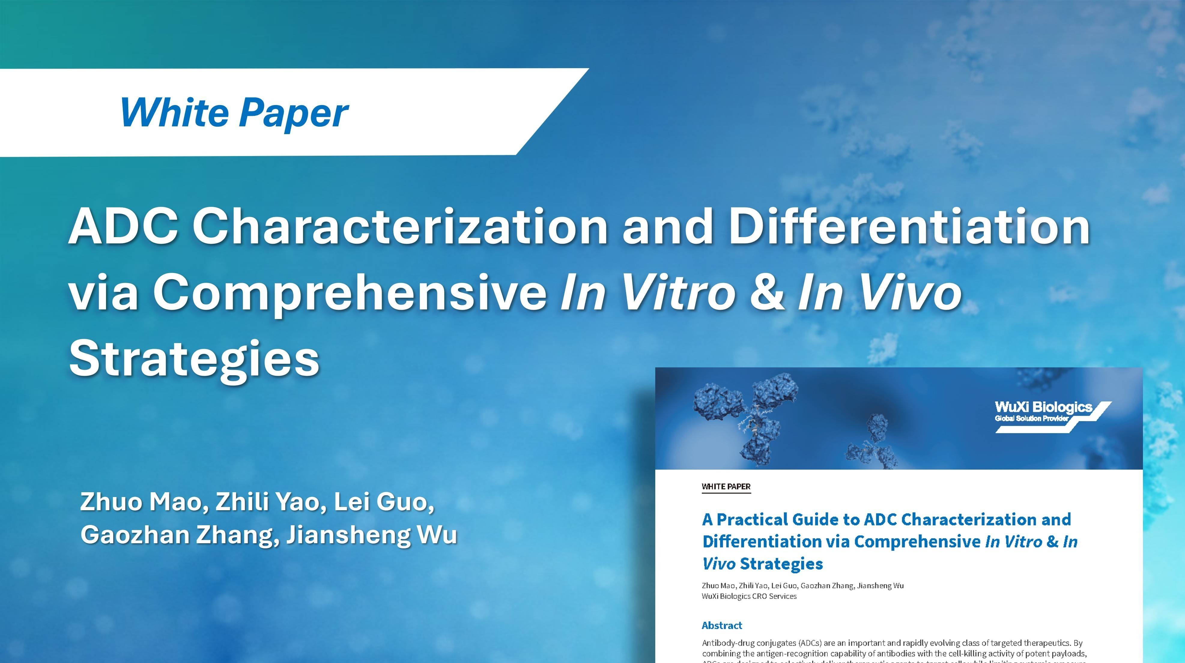 ADC Characterization and Differentiation via Comprehensive In Vitro & In Vivo Strategies