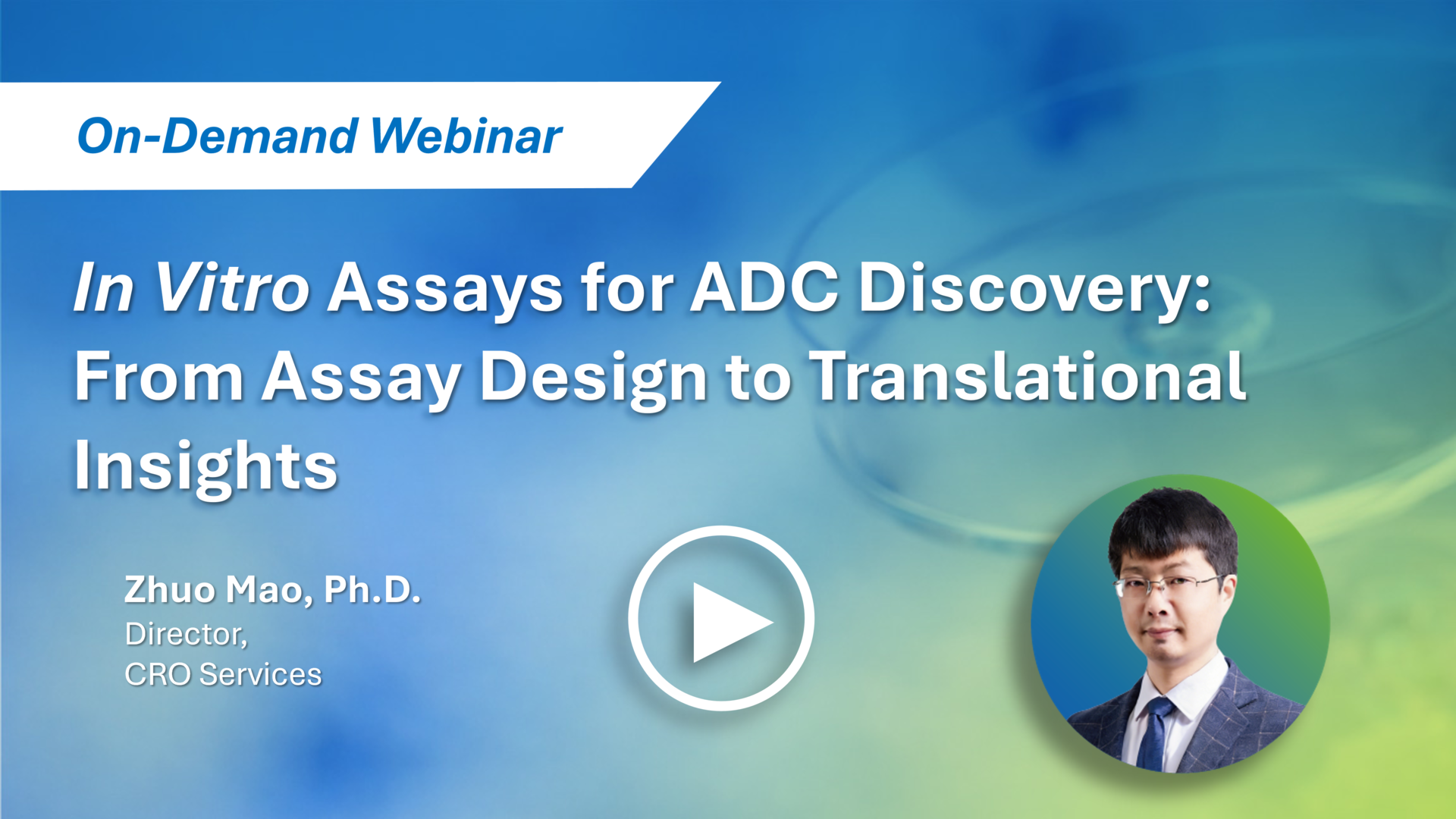 In Vitro Assays for ADC Discovery: From Design to Translational Insights