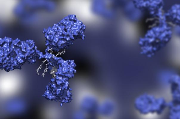 Mechanism-Guided ADC Characterization for Candidate Optimization & Differentiation