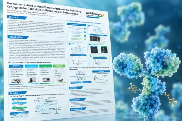 Mechanism-Guided ADC Characterization for Candidate Optimization & Differentiation [Poster]