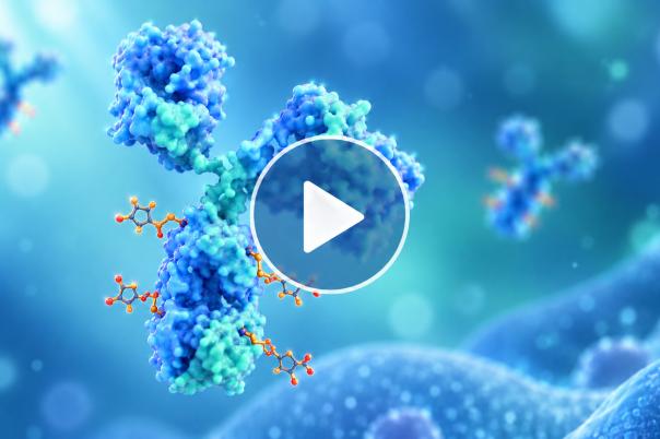 In Vitro Assays for ADC Discovery: From Design to Translational Insights [Webinar]