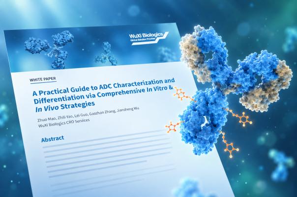 ADC Characterization and Differentiation via Comprehensive In Vitro & In Vivo Strategies [Whitepaper]