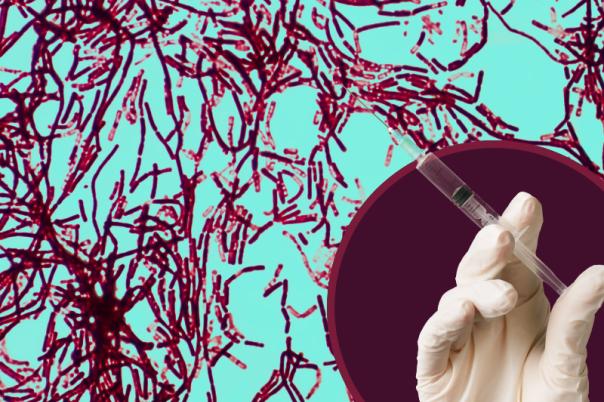 anthrax vax