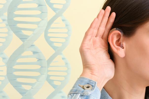 AAV Gene Therapy Restores Hearing in Deaf Patients
