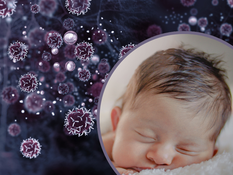 infant immune system