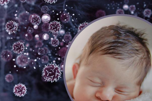 infant immune system