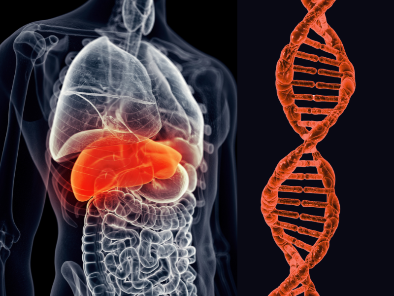 liver gene therapy