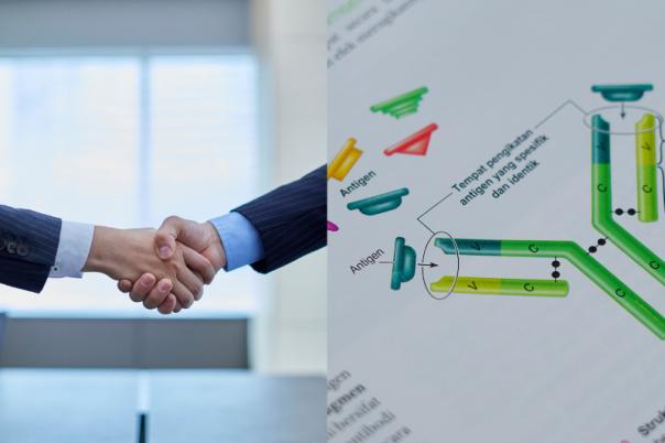 Boehringer Ingelheim to Enter $991 Million Partnership with AimedBio for ADC Targeting Broad Spectrum of Cancers