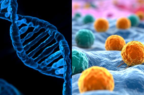 Gene Therapy Delivers Lasting Immune Protection to 59 Children with ADA-SCID