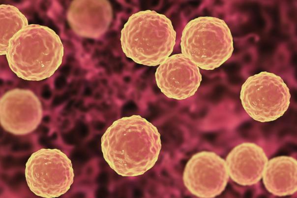 MIT Develop New Method of AAV Manufacture for Gene Therapy