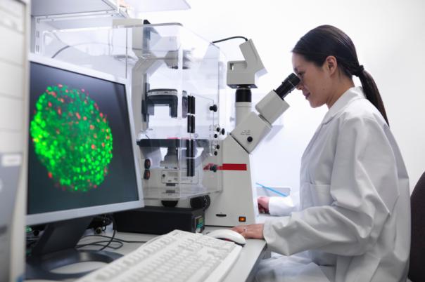 stem cell roundtable