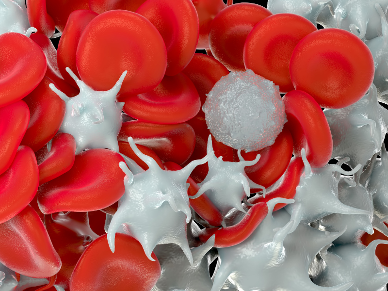 Ianalumab Effective for Immune Thrombocytopenia in Phase III