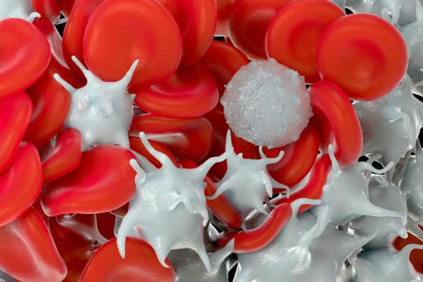 Ianalumab Effective for Immune Thrombocytopenia in Phase III